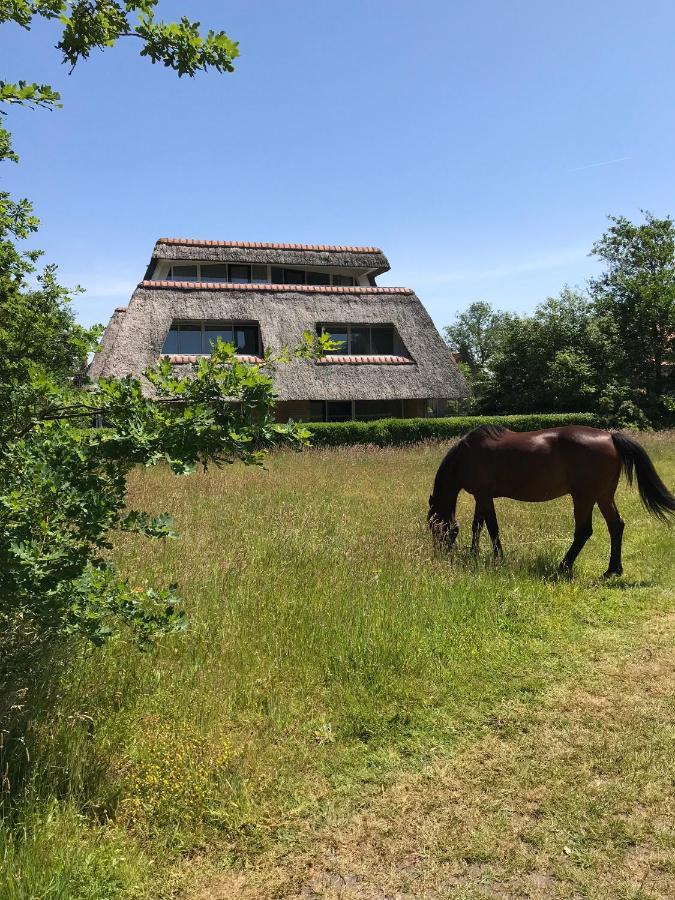 Waddenresidentie Ameland Nummer Vier Buren  Zewnętrze zdjęcie